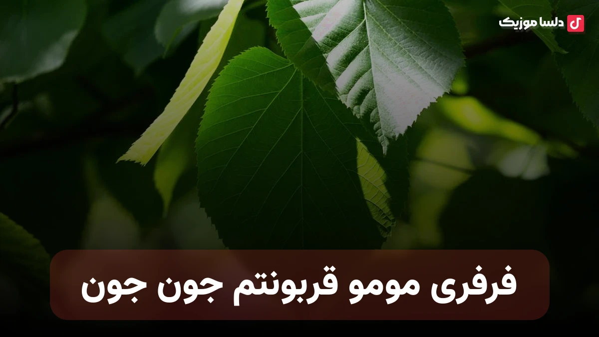 فرفری مومو قربونتم جون جون با صدای زن
